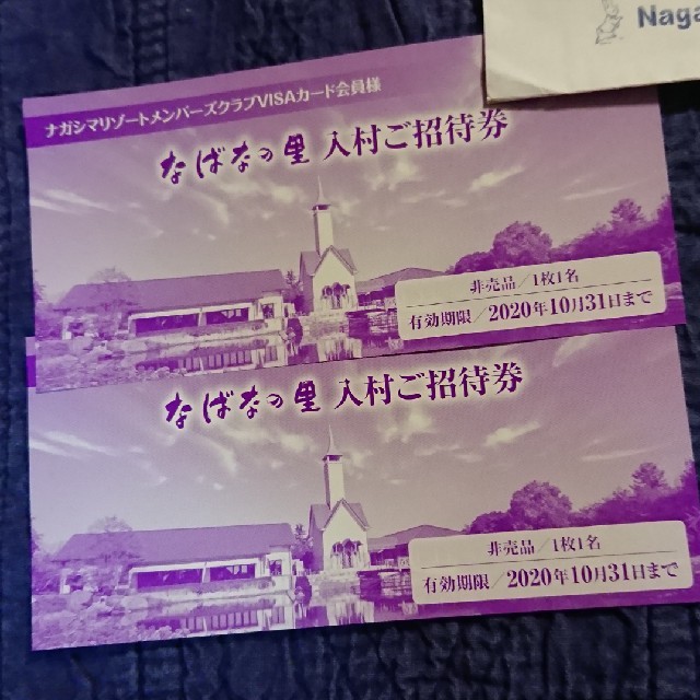 なばなの里 入村券 2枚 チケットの施設利用券(その他)の商品写真