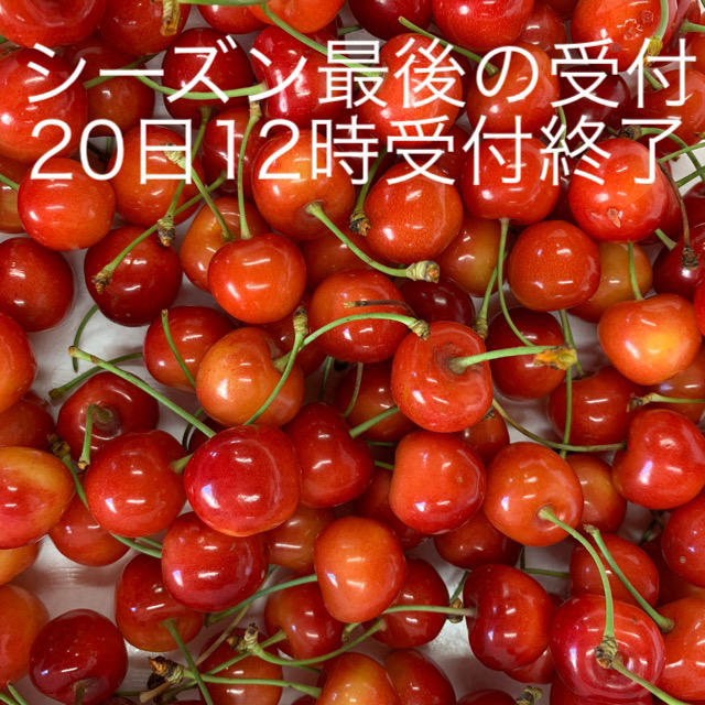 訳あり紅秀峰1kg✖️2 合計2kg 今年最後の受付となります。の通販 by ...