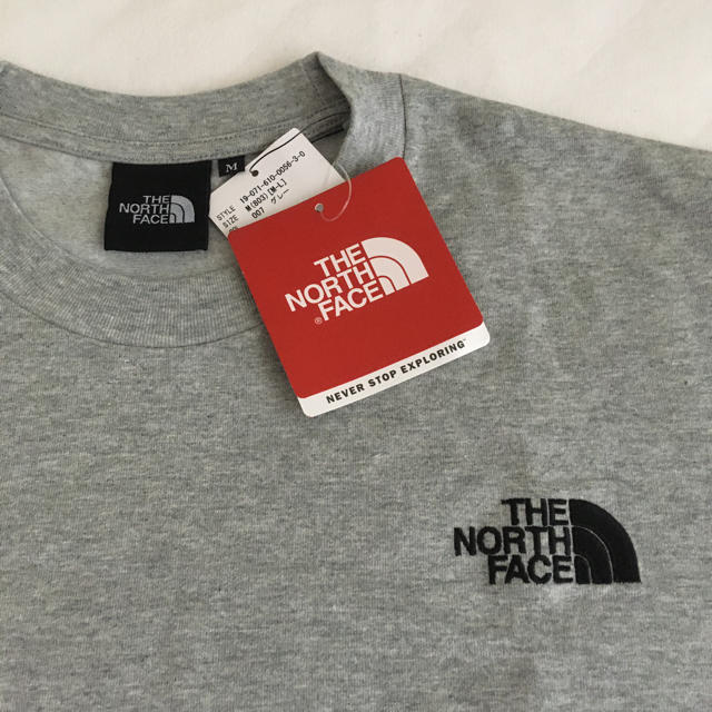 THE NORTH FACE(ザノースフェイス)のthe north face Tシャツ　新品Mサイズ メンズのトップス(Tシャツ/カットソー(半袖/袖なし))の商品写真