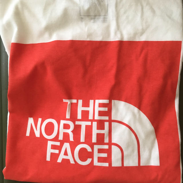 ノースフェイス  The North Face RedBox Tシャツ 2