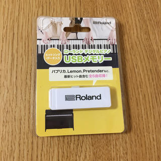 Roland デジタルピアノ　USBメモリー(電子ピアノ)