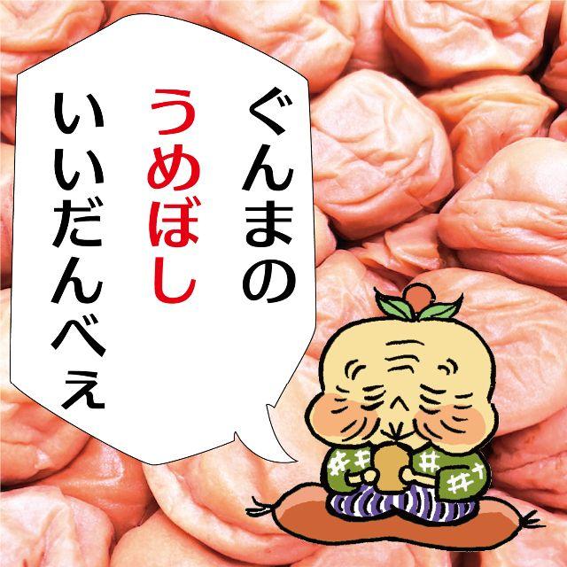 何も引かない何も足さない9%無添加完熟白加賀梅干し800ｇＡ品大粒3Ｌ以上選別 食品/飲料/酒の加工食品(漬物)の商品写真