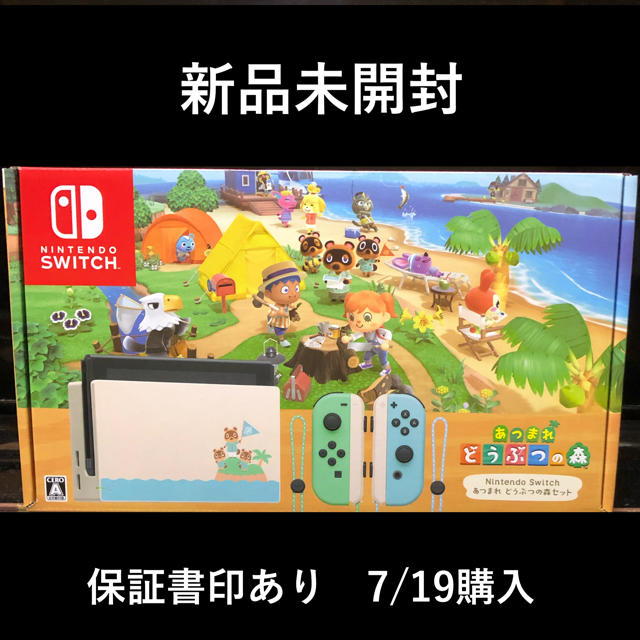 Nintendo Switch - Nintendo Switch あつまれ どうぶつの森セット