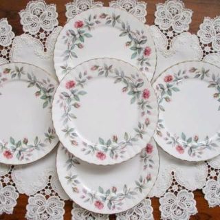 ロイヤルアルバート(ROYAL ALBERT)の値下げ♡ロイヤルスタッフォード♡ヴィンテージ ブランブルローズプレート5枚(食器)