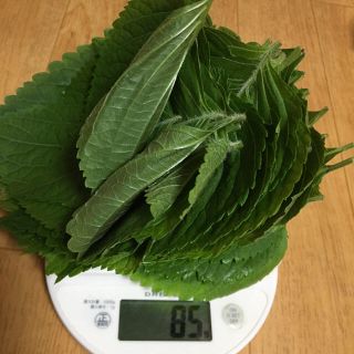 無農薬エゴマの葉85グラム(野菜)