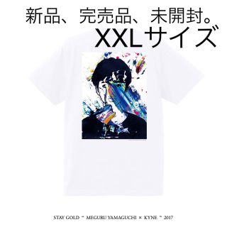 新品 MEGURU YAMAGUCHI × KYNE Tシャツ(Tシャツ/カットソー(半袖/袖なし))