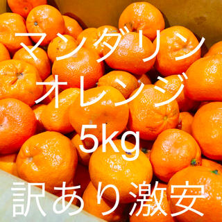 ハニーマンダリンオレンジ5kg 訳あり激安　全国送料無料(フルーツ)