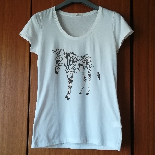 MACPHEE(マカフィー)のMACPHEE Tシャツ　ゼブラ レディースのトップス(Tシャツ(半袖/袖なし))の商品写真