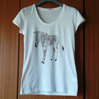 マカフィー(MACPHEE)のMACPHEE Tシャツ　ゼブラ(Tシャツ(半袖/袖なし))