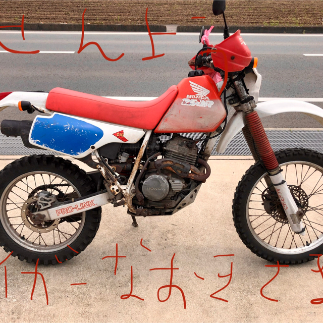 ホンダ(ホンダ)のホンダ　XR250R  自動車/バイクのバイク(車体)の商品写真