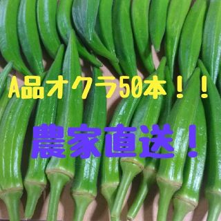 九州産A品オクラ50本(野菜)