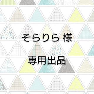 そらりら様 専用出品 炎炎ノ消防隊 クリアファイル(クリアファイル)