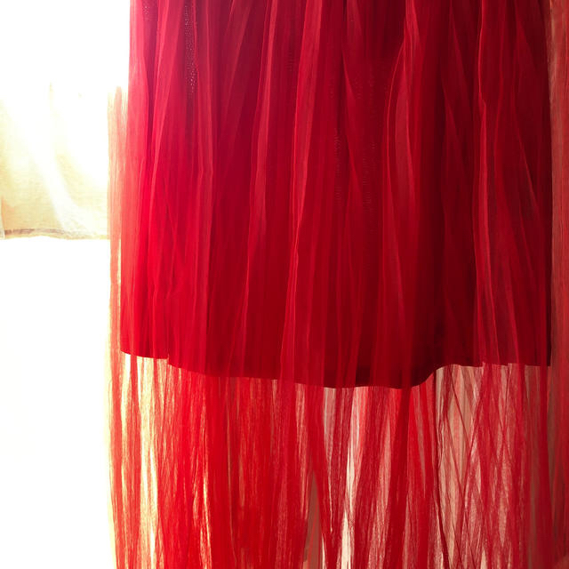 ZARA(ザラ)の古着　チュールスカート レディースのスカート(ロングスカート)の商品写真