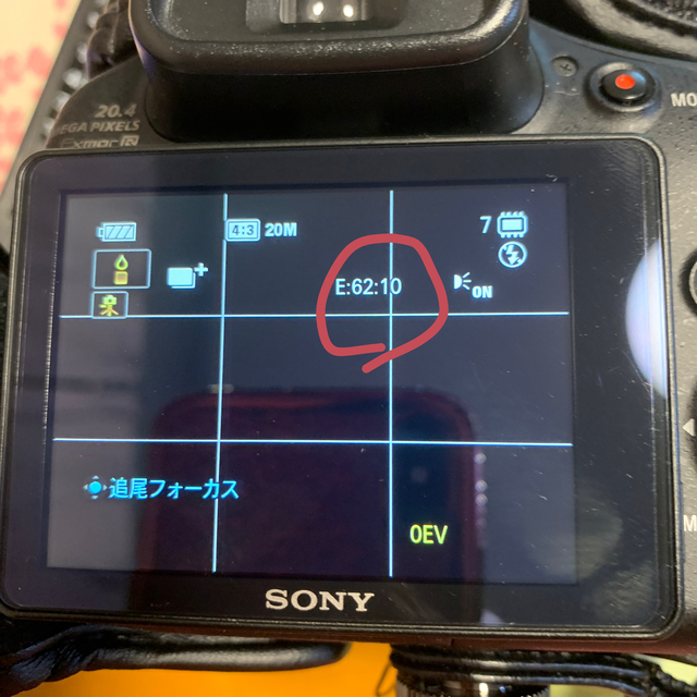 お値下 SONY DSC-HX 300 美品 あなたにおすすめの商品 jardinmagico.mx