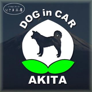 秋田犬のドッグインカーかわいい桃ちゃんの白色ステッカー‼︎(車外アクセサリ)