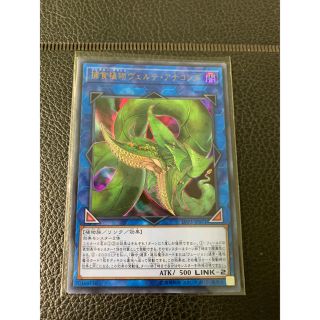 遊戯王　捕食植物ヴェルテアナコンダ　ウルトラレア(シングルカード)