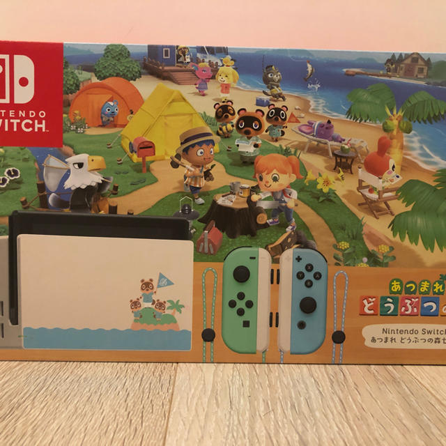 Nintendo Switch あつまれどうぶつの森セット