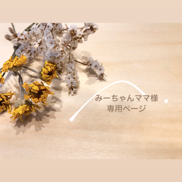 数量限定価格!! ✴︎みーちゃんママ様専用ページ✴︎ eurocursions.com