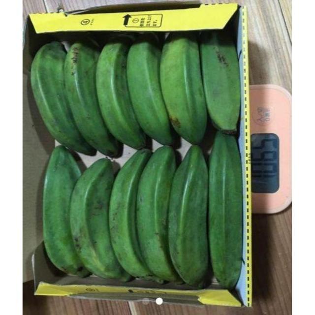 レア！調理用にも！沖縄産プランテンバナナ　ミャンマーバナナ　コンパクトに1kg 食品/飲料/酒の食品(フルーツ)の商品写真
