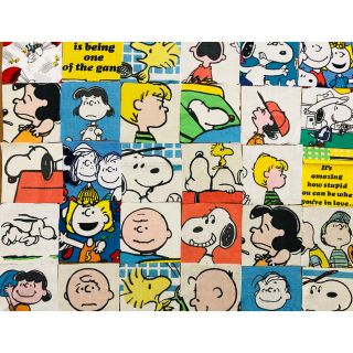 スヌーピー(SNOOPY)のスヌーピー ビンテージシーツ カットクロス 30枚(生地/糸)