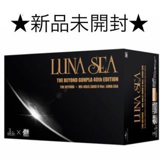 LUNA SEA THE BEYOND 専用ザクII オリジナルガンプラ(プラモデル)