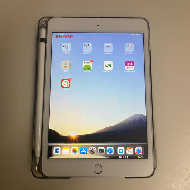iPad - iPad  mini5 SIMフリー版