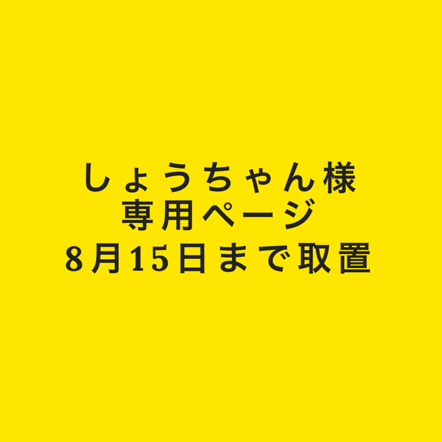愛用 SEVENTEEN - 【しょうちゃん様】ジョンハン【専用】 K-POP/アジア