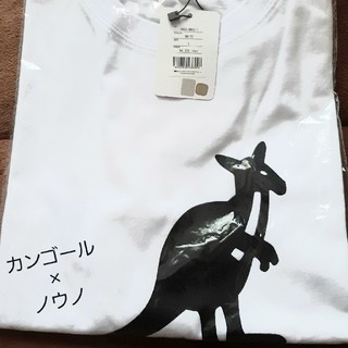 カンゴール(KANGOL)の未開封　カンゴール　KANGOL　Tシャツ　ノウノ　NOUNO ダブルネーム(Tシャツ/カットソー(半袖/袖なし))