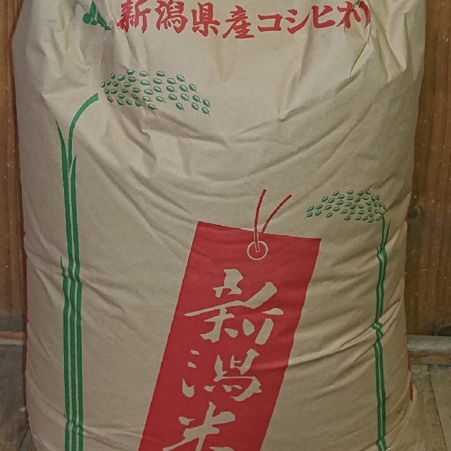 農家直送★新潟県産コシヒカリ★白米10kg★送料込み F