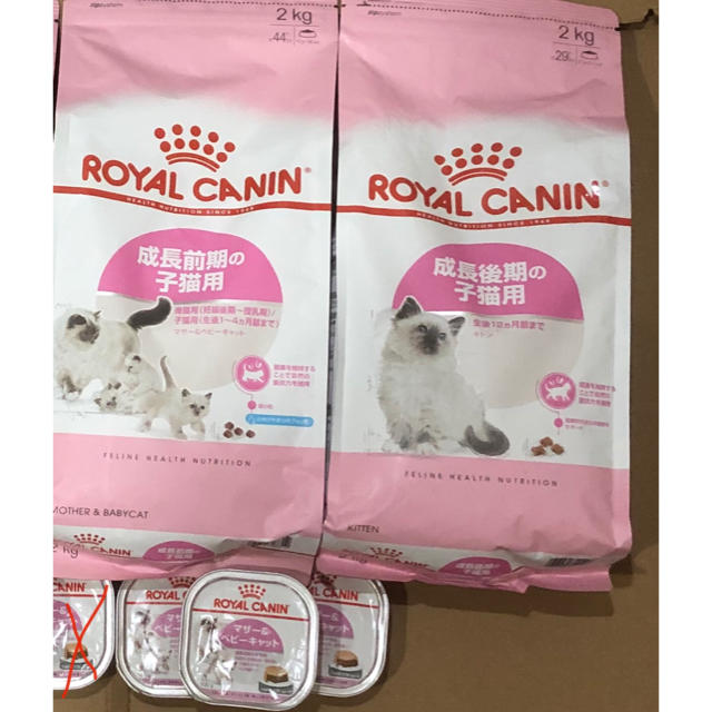 ロイヤルカナン ベビー2kg+キトン2kg+ウェットフード9点