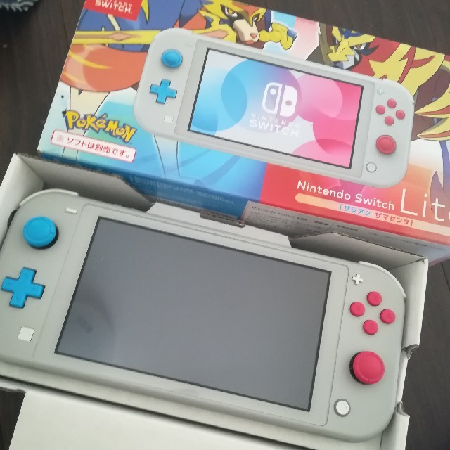 Switch lite