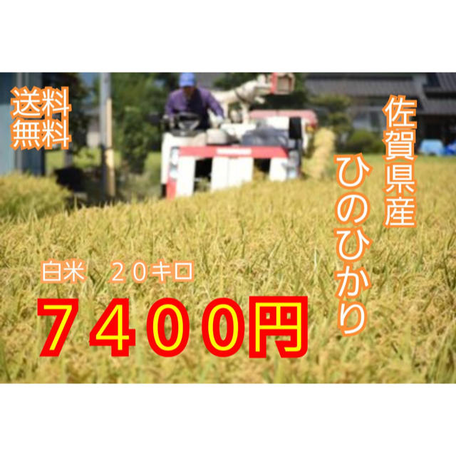 【即日発送】佐賀県産　ヒノヒカリ　白米20kg 佐賀の米お米の特徴