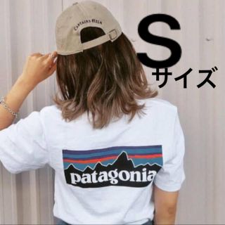 パタゴニア(patagonia)のパタゴニア　Patagonia Ｔシャツ(シャツ)