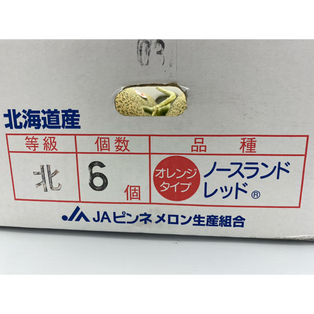 北海道産　ノースランドレッドメロン🍈6玉 食品/飲料/酒の食品(フルーツ)の商品写真