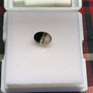 バイカラートルマリン　1.245ct(各種パーツ)