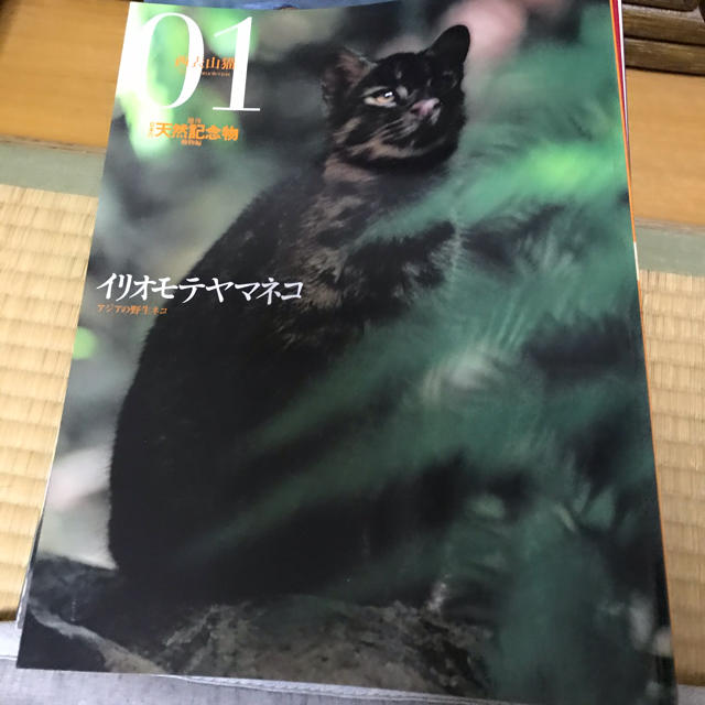 海洋堂(カイヨウドウ)の日本の天然記念物　動物編　海洋堂 エンタメ/ホビーの本(その他)の商品写真