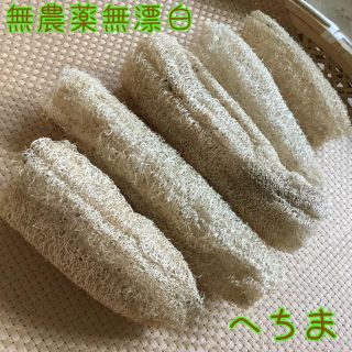 手づくりヘチマたわし　無農薬無漂白５セット(タオル/バス用品)