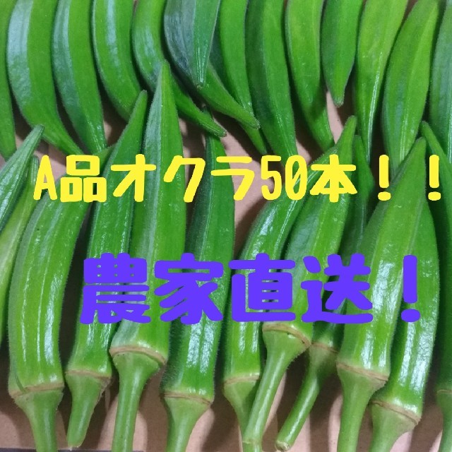 九州産A品オクラ50本 食品/飲料/酒の食品(野菜)の商品写真