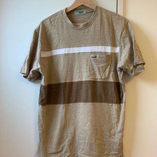 ラコステ(LACOSTE)のcrocodile クロコダイル 半袖 Tシャツ Mサイズ(Tシャツ/カットソー(半袖/袖なし))