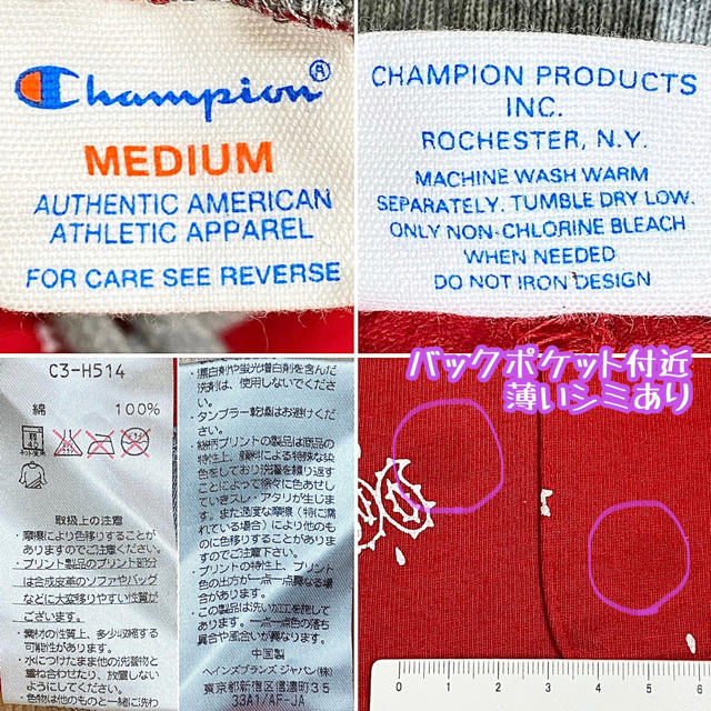 Champion(チャンピオン)の【Champion】チャンピオン ペイズリー柄 スウェットパンツ ハーフ/M メンズのパンツ(ショートパンツ)の商品写真