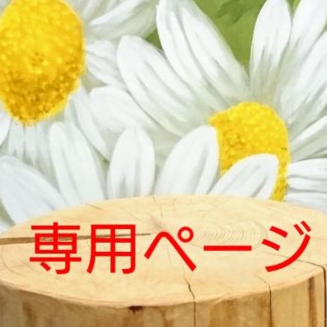 どぅしぃ様専用ページ オリジナル www.autocarrozzeriatoscana.it