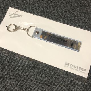 セブンティーン(SEVENTEEN)のSEVENTEEN SVT ドームツアー(アイドルグッズ)