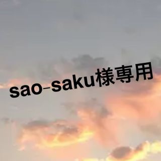 sao-saku様専用(その他)