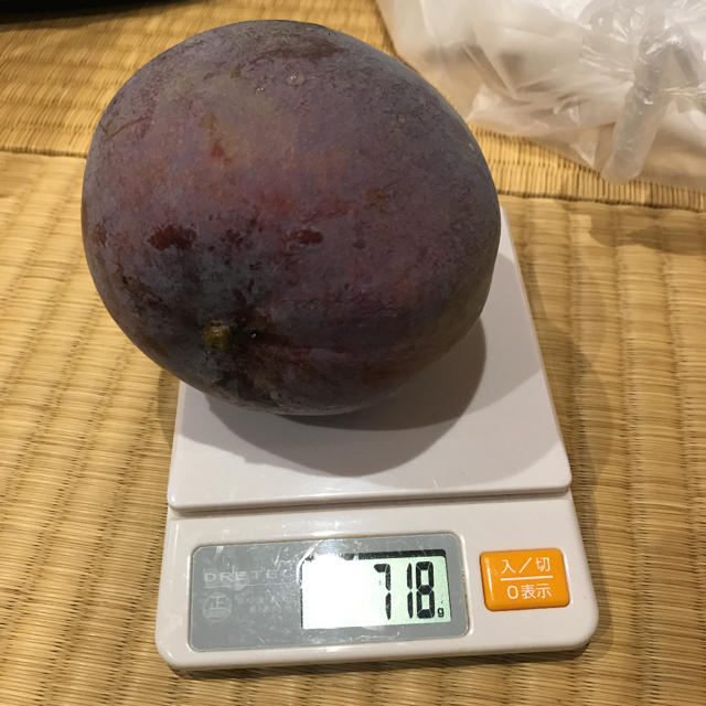 レッドキーツマンゴー  1.5キロ　2玉　沖縄産 食品/飲料/酒の食品(フルーツ)の商品写真