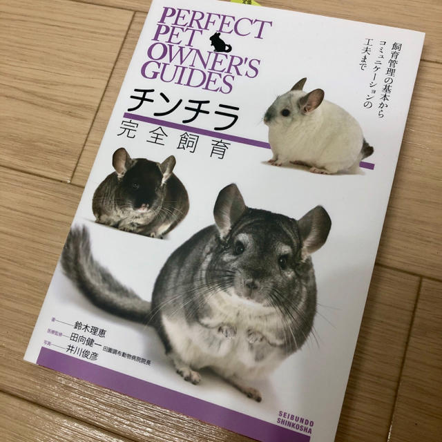 フラワーB ブルーグレイ 本 チンチラ 小動物 完全飼育 通販 ザ・チンチラ テンジクネズミの仲間の生態と飼い方