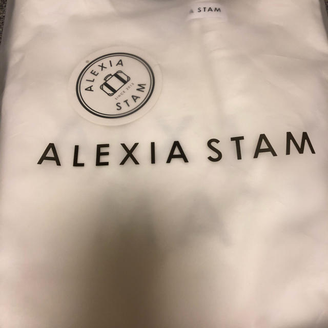 ALEXIA STAM(アリシアスタン)のアリシアスタン　ロゴ　Tシャツ　ホワイト レディースのトップス(Tシャツ(半袖/袖なし))の商品写真