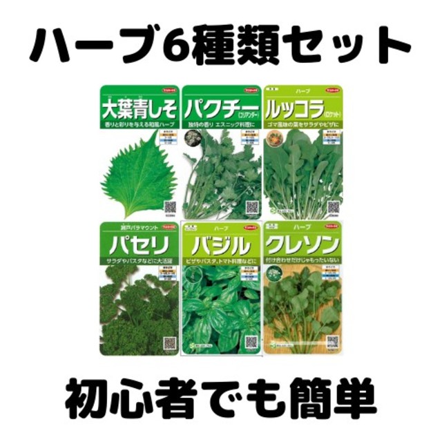 #1【ハーブ6種類＋おまけ】簡単に作れる野菜の種【家庭菜園に最適】 食品/飲料/酒の食品(野菜)の商品写真