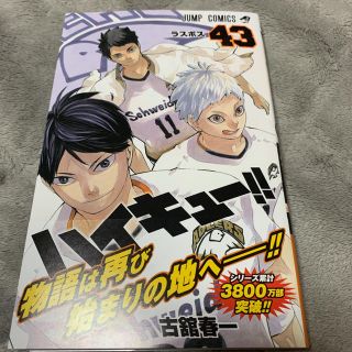 シュウエイシャ(集英社)の新品未使用。ハイキュー　43巻(少年漫画)