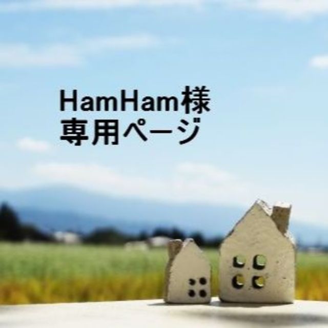 「HamHam様 専用ページ」 コスメ/美容のコスメ/美容 その他(その他)の商品写真