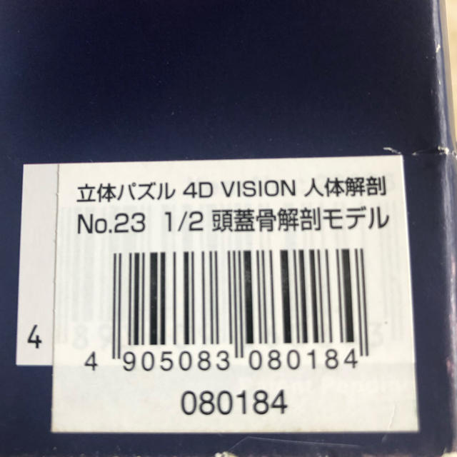 【新品】　VISION ４D 頭蓋骨解剖モデル　 エンタメ/ホビーのエンタメ その他(その他)の商品写真